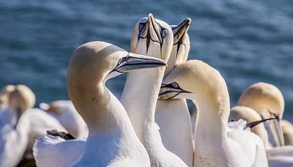 kaiyun-王楚钦夺得WTT新加坡大满贯男单冠军